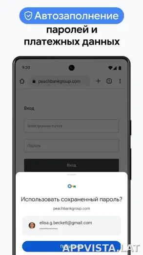 Google Chrome скриншот 6